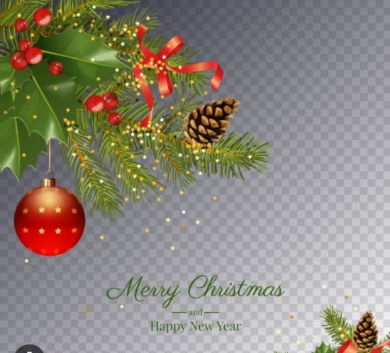 Screenshot20231111235152google